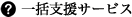 一括支援サービス
